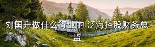 劉國升做什么行業(yè)的 泛?？毓韶攧?wù)總監(jiān)