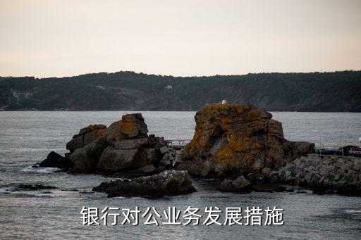 銀行為企業(yè)方案,銀行對房地產企業(yè)的服務方案