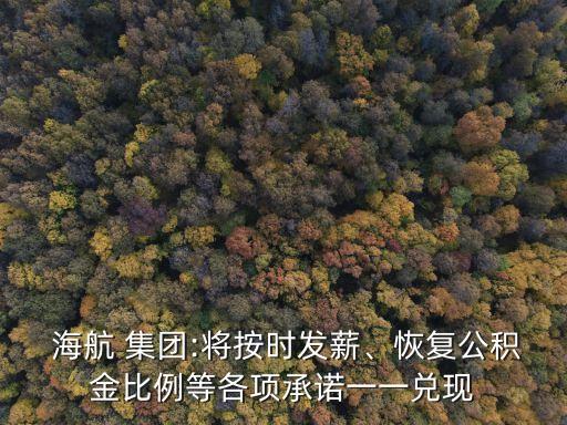  海航 集團:將按時發(fā)薪、恢復公積金比例等各項承諾一一兌現(xiàn)