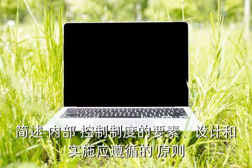 簡(jiǎn)述 內(nèi)部 控制制度的要素、設(shè)計(jì)和實(shí)施應(yīng)遵循的 原則