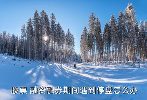  股票 融資融券期間遇到停盤(pán)怎么辦