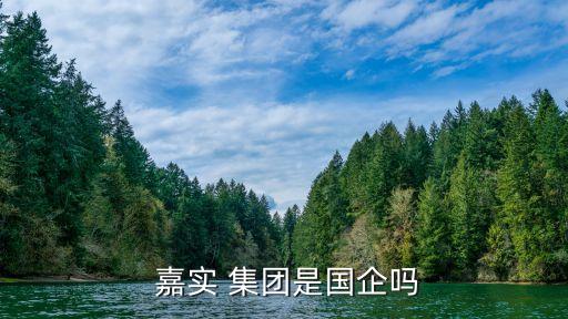  嘉實 集團(tuán)是國企嗎