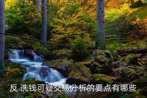 網(wǎng)上銀行反洗錢(qián)及反恐融資的難點(diǎn)與對(duì)策