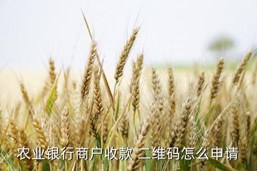農業(yè)銀行商戶收款 二維碼怎么申請