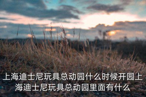 浦東迪斯尼新鎮(zhèn)國(guó)開行式城鎮(zhèn)化的上海機(jī)會(huì)