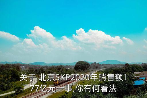 關于 北京SKP2020年銷售額177億元一事,你有何看法