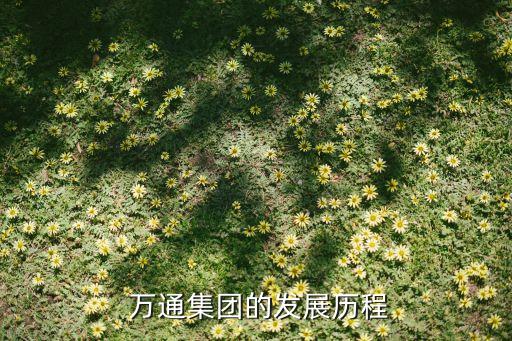 杭州萬(wàn)通房地產(chǎn)開(kāi)發(fā)有限公司,杭州越秀房地產(chǎn)開(kāi)發(fā)有限公司