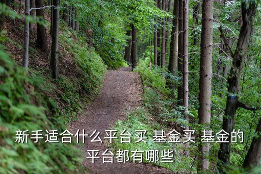 新手適合什么平臺(tái)買 基金買 基金的平臺(tái)都有哪些