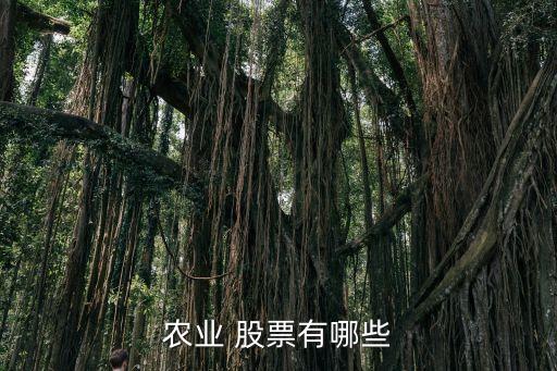 農業(yè) 股票有哪些
