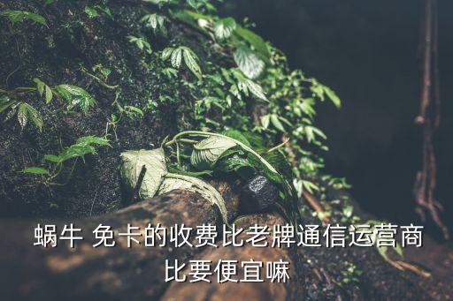  蝸牛 免卡的收費(fèi)比老牌通信運(yùn)營商比要便宜嘛