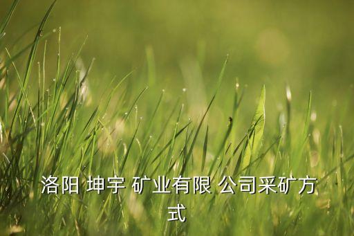  洛陽(yáng) 坤宇 礦業(yè)有限 公司采礦方式