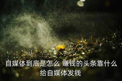 自媒體到底是怎么 賺錢(qián)的頭條靠什么給自媒體發(fā)錢(qián)