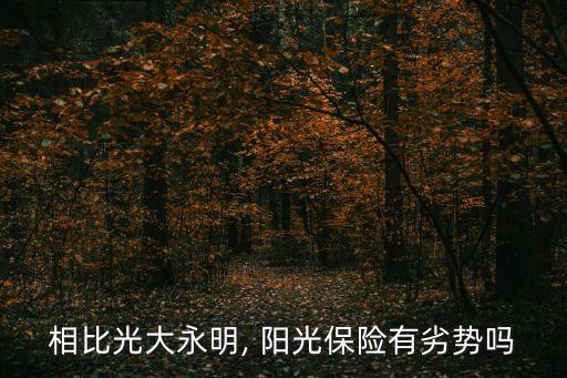 相比光大永明, 陽光保險有劣勢嗎