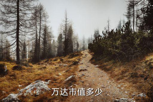  萬達市值多少