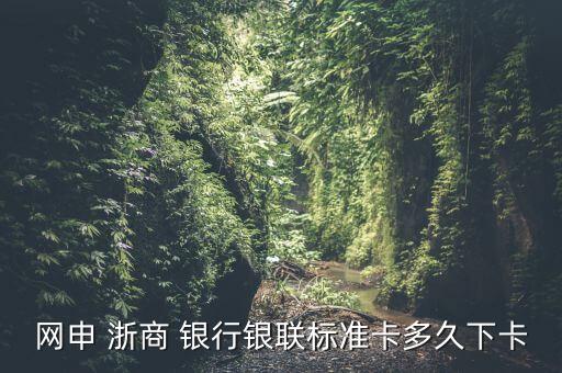 網(wǎng)申 浙商 銀行銀聯(lián)標準卡多久下卡
