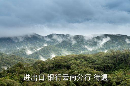  進出口 銀行云南分行 待遇