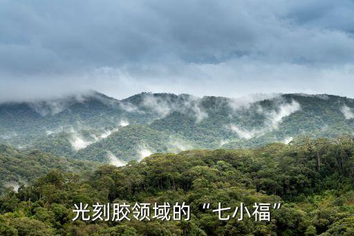光刻膠領(lǐng)域的“七小?！? class=