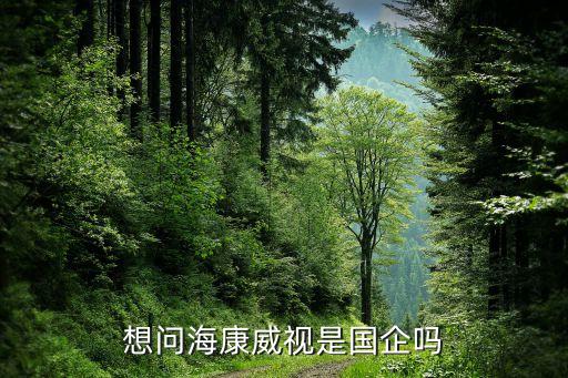 想問(wèn)?？低暿菄?guó)企嗎