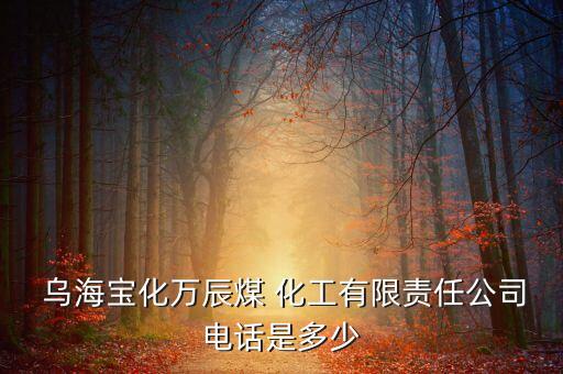  烏海寶化萬(wàn)辰煤 化工有限責(zé)任公司電話(huà)是多少
