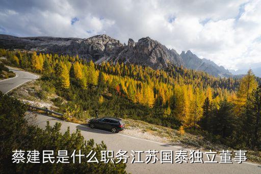 蔡建民是什么職務(wù)江蘇國泰獨(dú)立董事