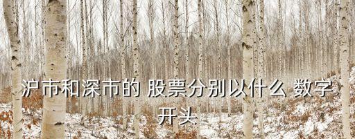 滬市和深市的 股票分別以什么 數(shù)字開(kāi)頭