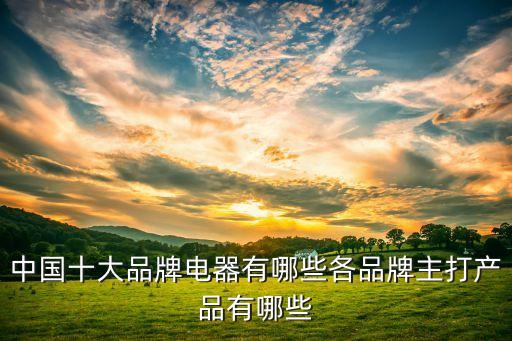 中國十大品牌電器有哪些各品牌主打產品有哪些