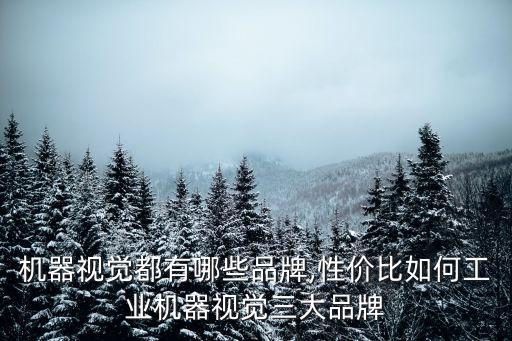 機(jī)器視覺都有哪些品牌,性價比如何工業(yè)機(jī)器視覺三大品牌