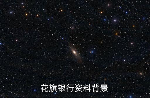 花旗集團的主要業(yè)務(wù)