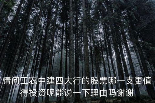 請(qǐng)問工農(nóng)中建四大行的股票哪一支更值得投資呢能說(shuō)一下理由嗎謝謝