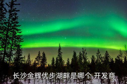  長沙金輝優(yōu)步湖畔是哪個(gè) 開發(fā)商