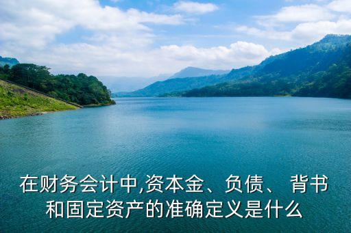 在財(cái)務(wù)會(huì)計(jì)中,資本金、負(fù)債、 背書和固定資產(chǎn)的準(zhǔn)確定義是什么