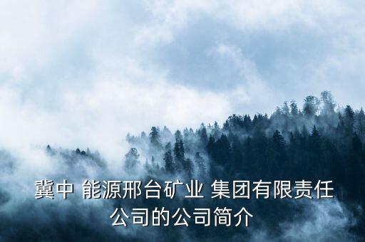  冀中 能源邢臺礦業(yè) 集團有限責(zé)任公司的公司簡介