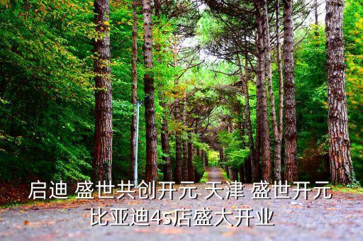 啟迪 盛世共創(chuàng)開(kāi)元 天津 盛世開(kāi)元比亞迪4s店盛大開(kāi)業(yè)