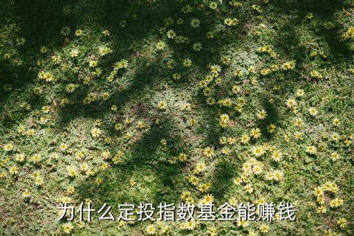 為什么定投指數(shù)基金能賺錢(qián)