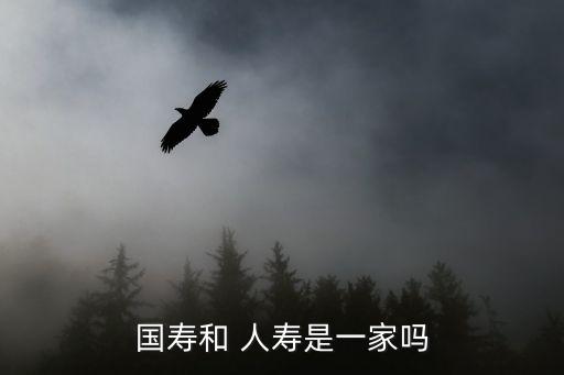 國(guó)壽和 人壽是一家嗎