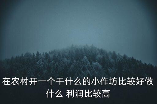 在農(nóng)村開一個(gè)干什么的小作坊比較好做什么 利潤(rùn)比較高