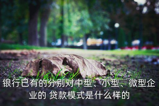 銀行已有的分別對(duì)中型、小型、微型企業(yè)的 貸款模式是什么樣的
