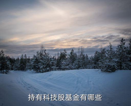 交銀海外中國互聯(lián)網指數(shù)基金凈值