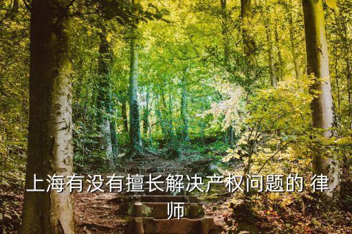  上海有沒(méi)有擅長(zhǎng)解決產(chǎn)權(quán)問(wèn)題的 律師