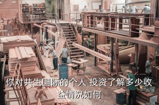 你對共生國際的個(gè)人 投資了解多少收益情況如何