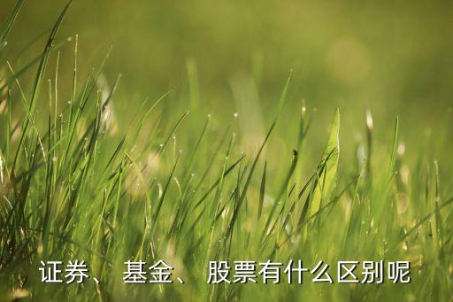 證券、 基金、 股票有什么區(qū)別呢