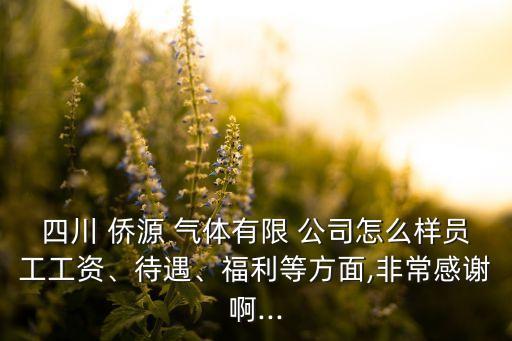 四川 僑源 氣體有限 公司怎么樣員工工資、待遇、福利等方面,非常感謝啊...