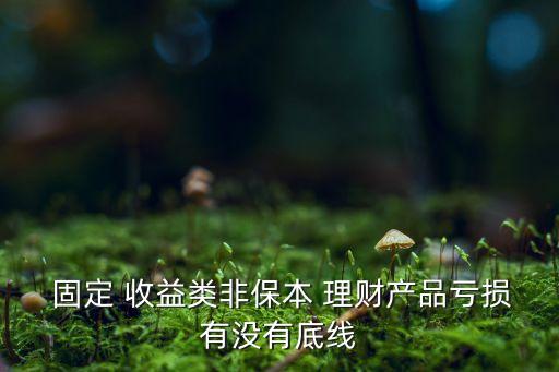  固定 收益類(lèi)非保本 理財(cái)產(chǎn)品虧損有沒(méi)有底線(xiàn)