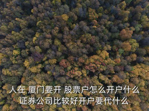人在 廈門要開(kāi) 股票戶怎么開(kāi)戶什么證券公司比較好開(kāi)戶要代什么