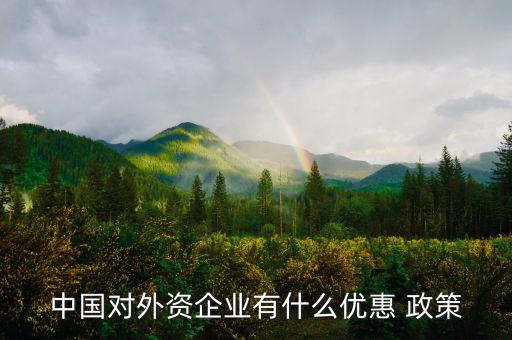 中國對(duì)外資企業(yè)有什么優(yōu)惠 政策