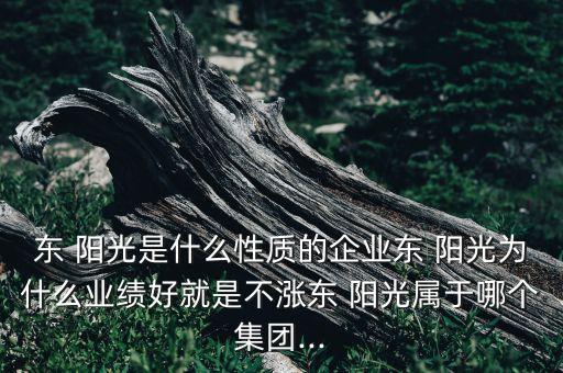 東 陽(yáng)光是什么性質(zhì)的企業(yè)東 陽(yáng)光為什么業(yè)績(jī)好就是不漲東 陽(yáng)光屬于哪個(gè)集團(tuán)...