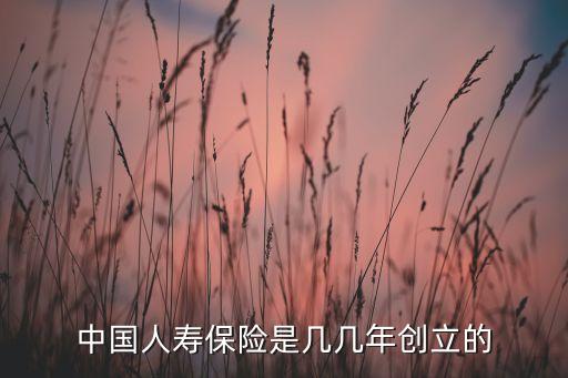 中國人民財產保險股份有限公司董事長