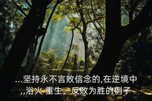 ...堅(jiān)持永不言敗信念的,在逆境中,,浴火 重生、反敗為勝的例子