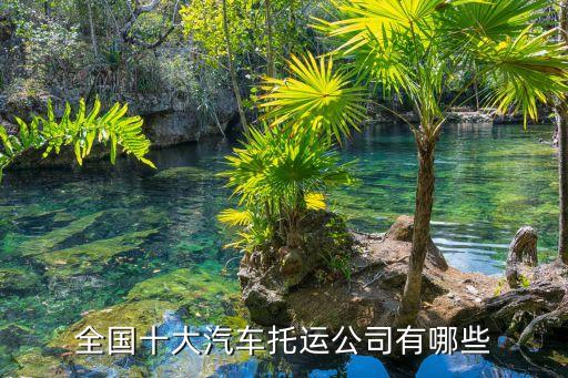 全國(guó)十大汽車托運(yùn)公司有哪些