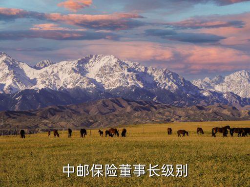 中郵保險(xiǎn)董事長級(jí)別